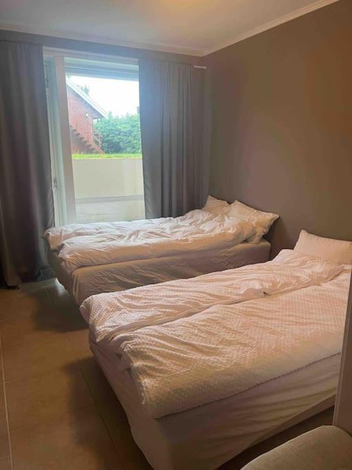 Fin Leilighet I Rolig Omrade I Trondheim Apartment Hoiset ภายนอก รูปภาพ